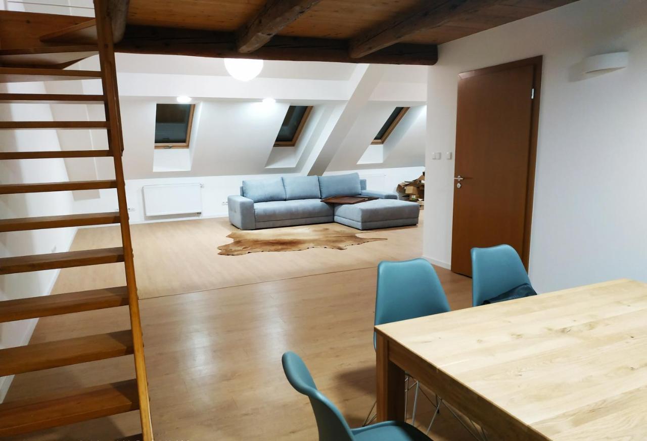 Apartament"Nad Niwka 6" Z Zamykanym Bezplatnym Parkingiem Bielsko-Biała Eksteriør billede